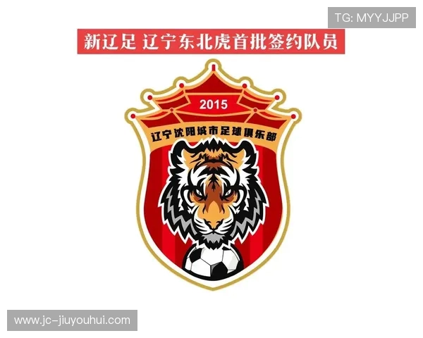 辽宁队足球近期表现分析与未来发展潜力探讨